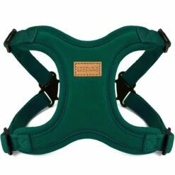 Charlie's Backyard Comfort Dog Harness - Green