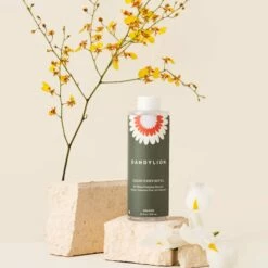 Dandylion No-Rinse Foaming Cleanser Clean Paws Refill 10 Oz