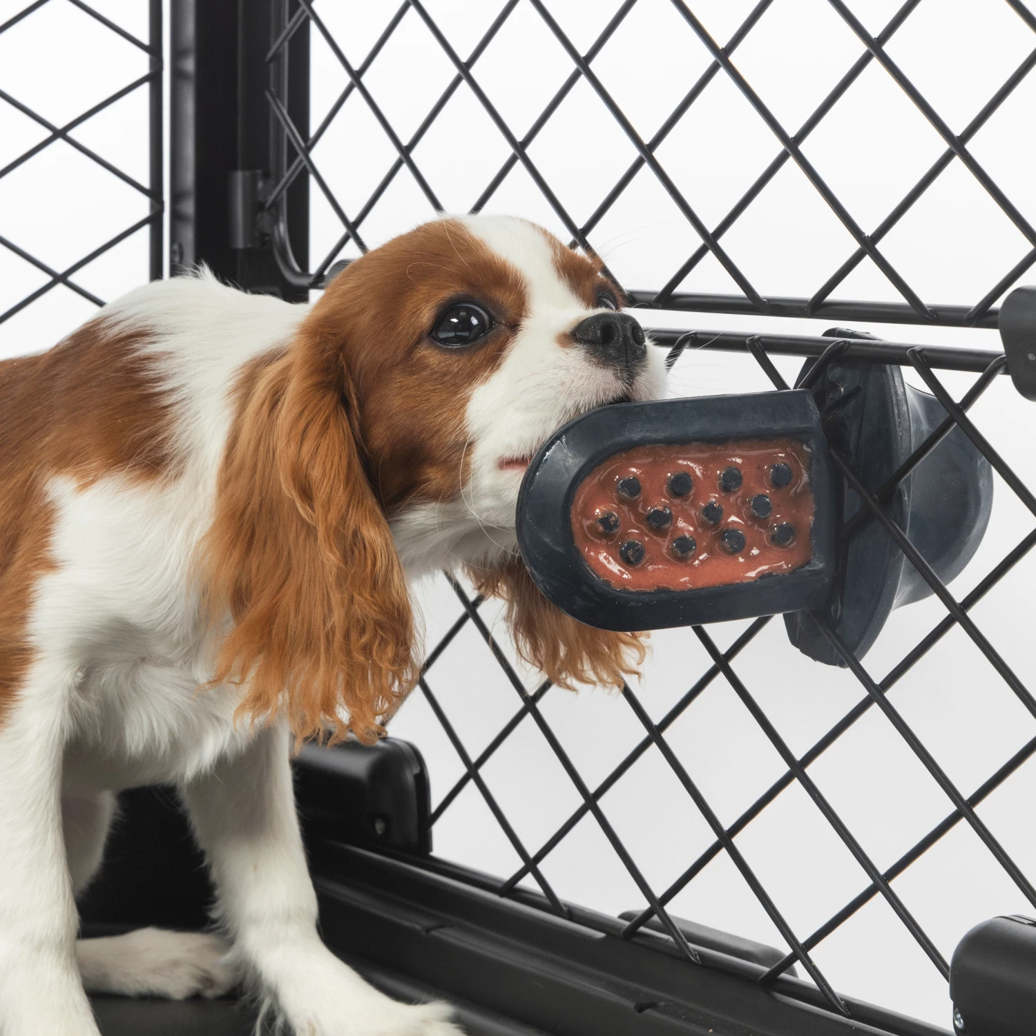 Diggs Groov Crate Training Aid - Navy - Image 2