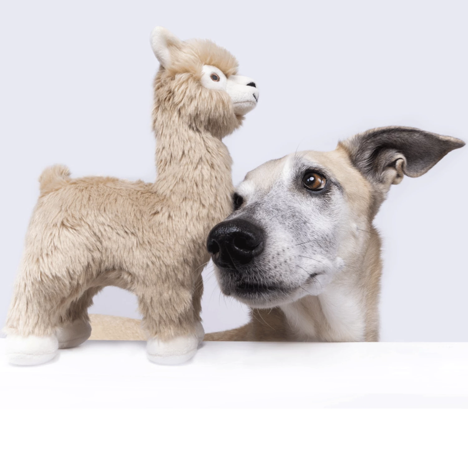 Fluff & Tuff Inca Alpaca Dog Toy - Image 2