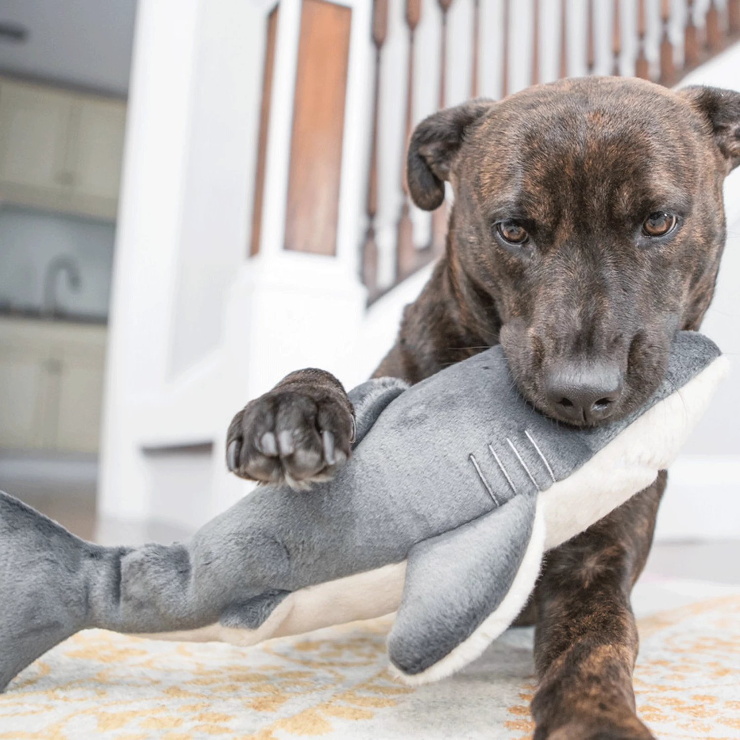 Fluff & Tuff Mac Shark - Image 2