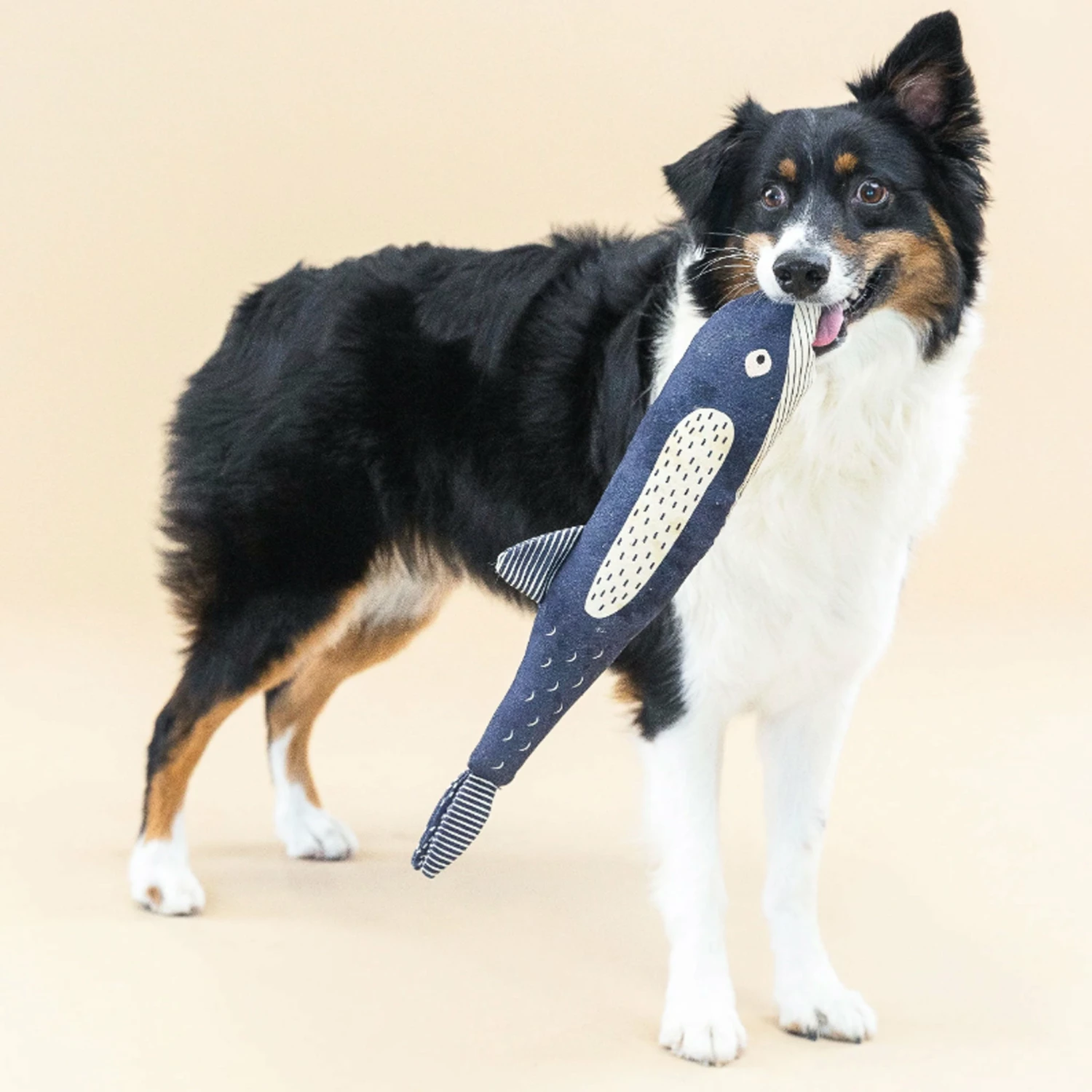 Fringe Canvas Squeaker Whale Dog Toy - Image 3