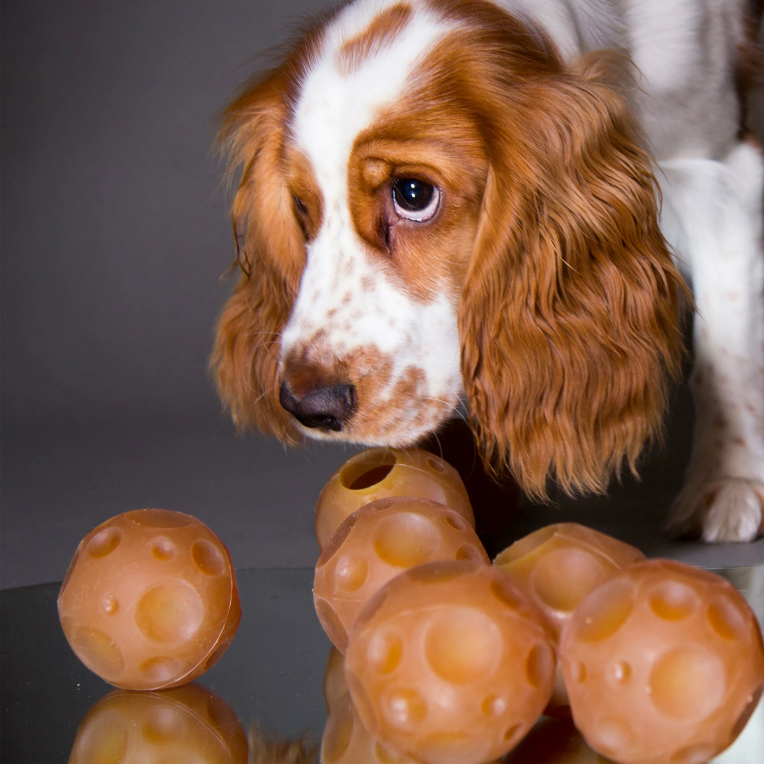 Hevea Natural Rubber Moon Ball Dog Toy - Image 3