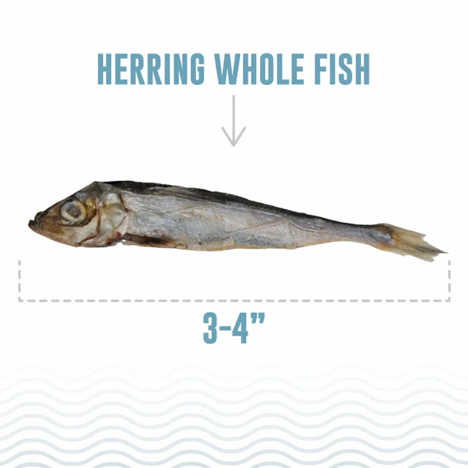 Icelandic+ Whole Dog Herring 3 Oz - Image 3