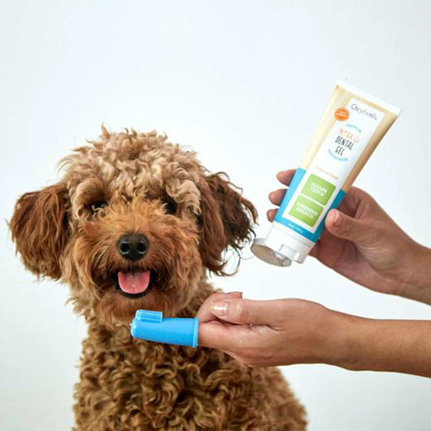 Oxyfresh Pet Toothpaste Finger Brush Kit Oxygene - 4 Oz - Image 2