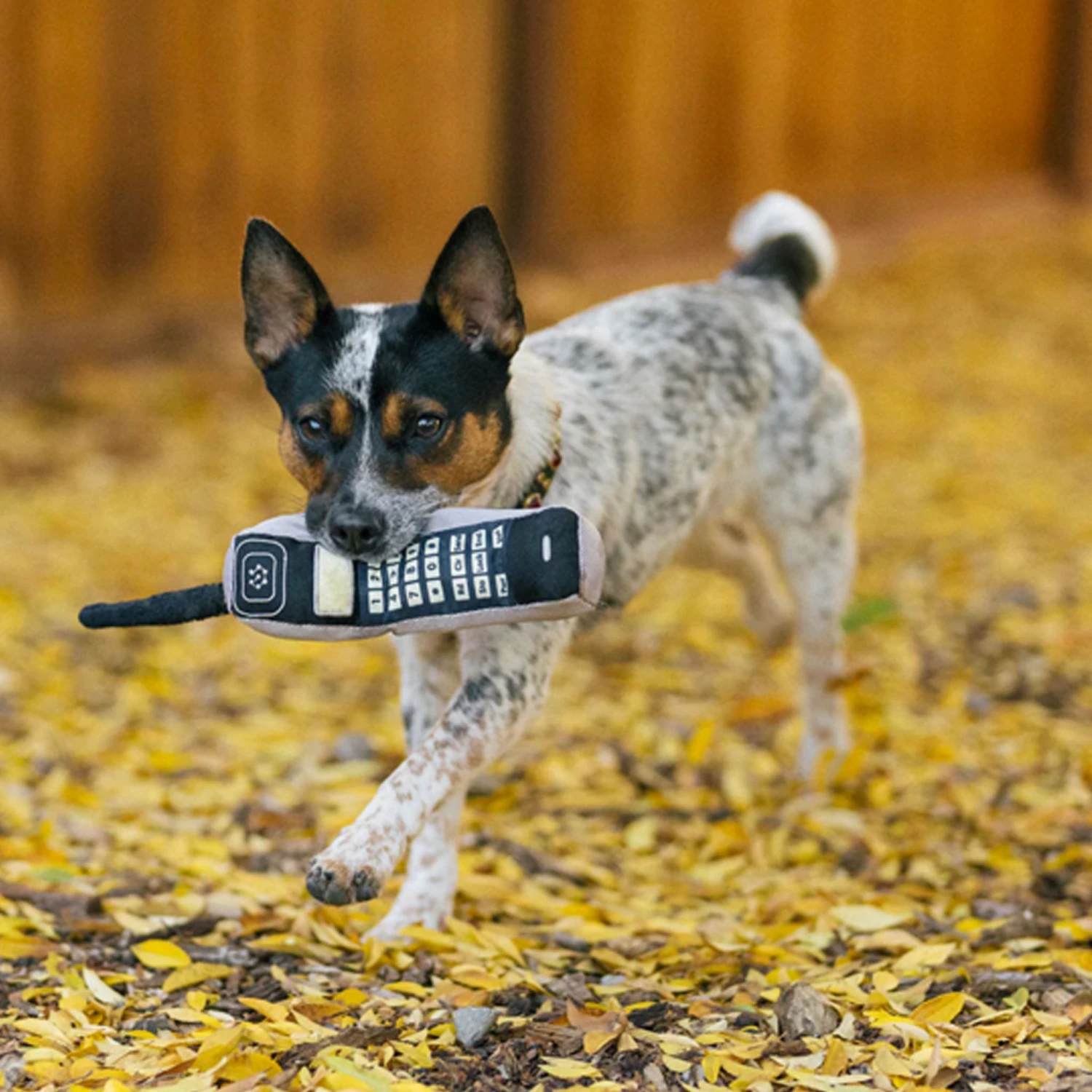 P.L.A.Y. Brick Phone Dog Toy - Grey - Image 3