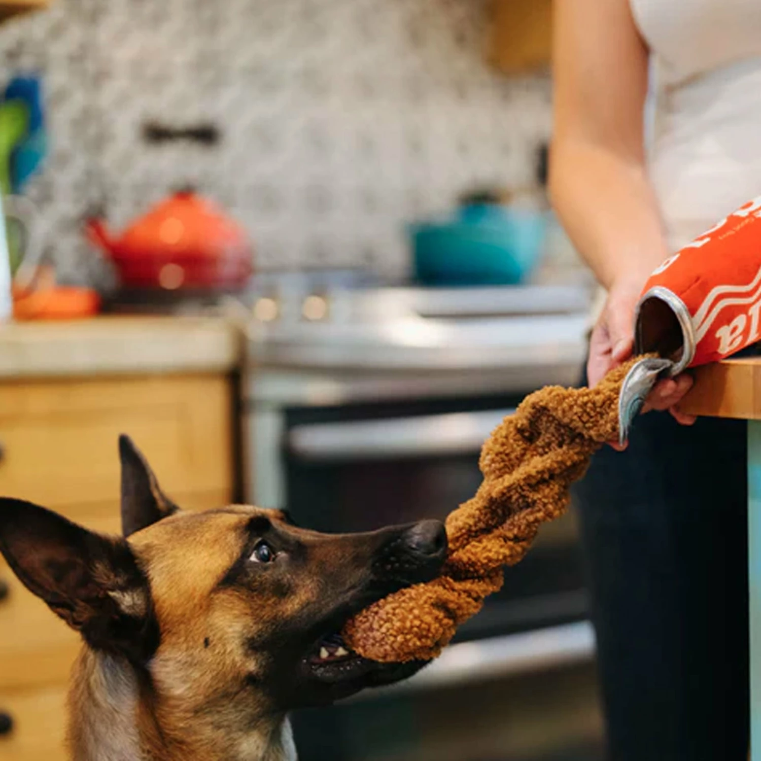 P.L.A.Y. Good Boy Cola Dog Toy - Image 3