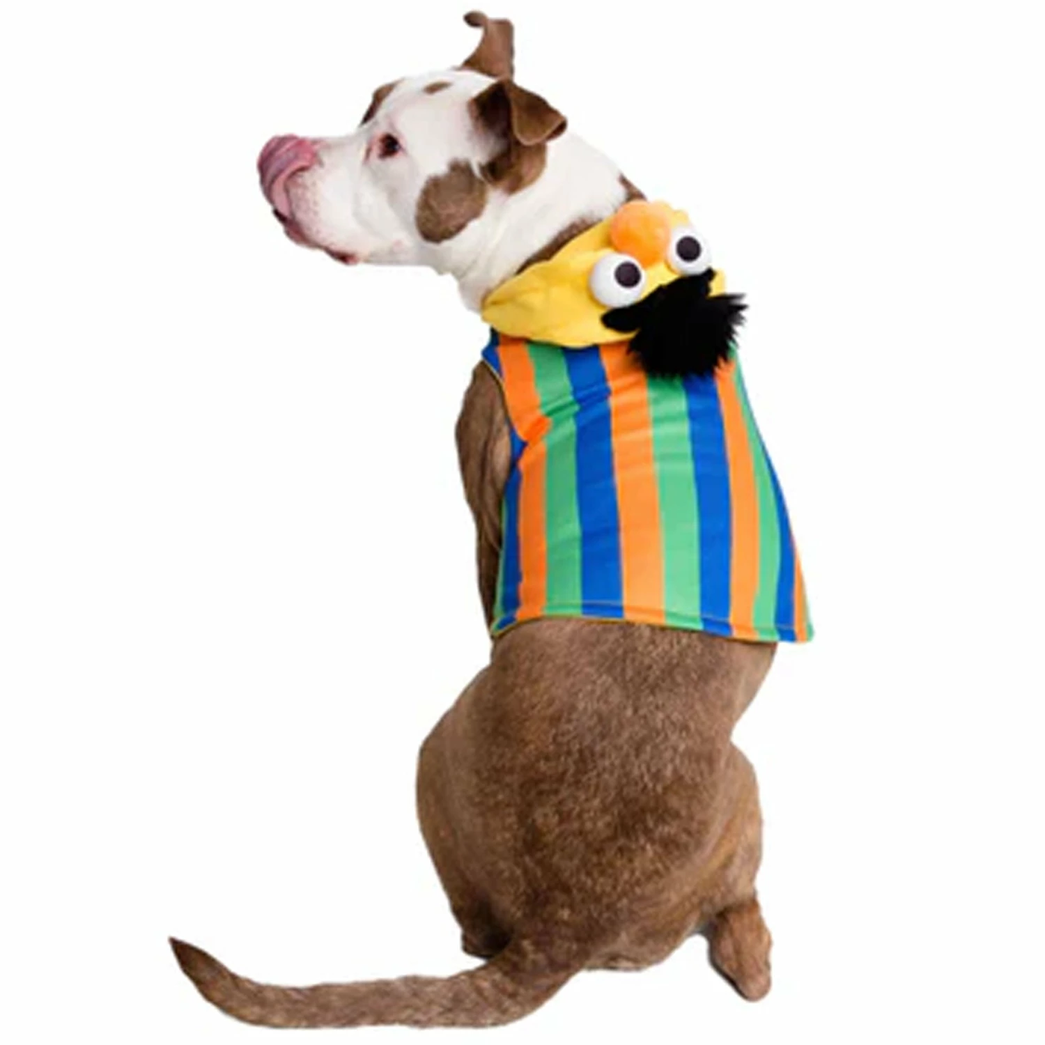 Pet Krewe Bert Costume - Image 2