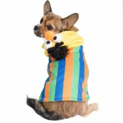 Pet Krewe Bert Costume