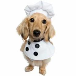 Pet Krewe Chef Costume