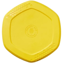 Project Hive Disc Toy