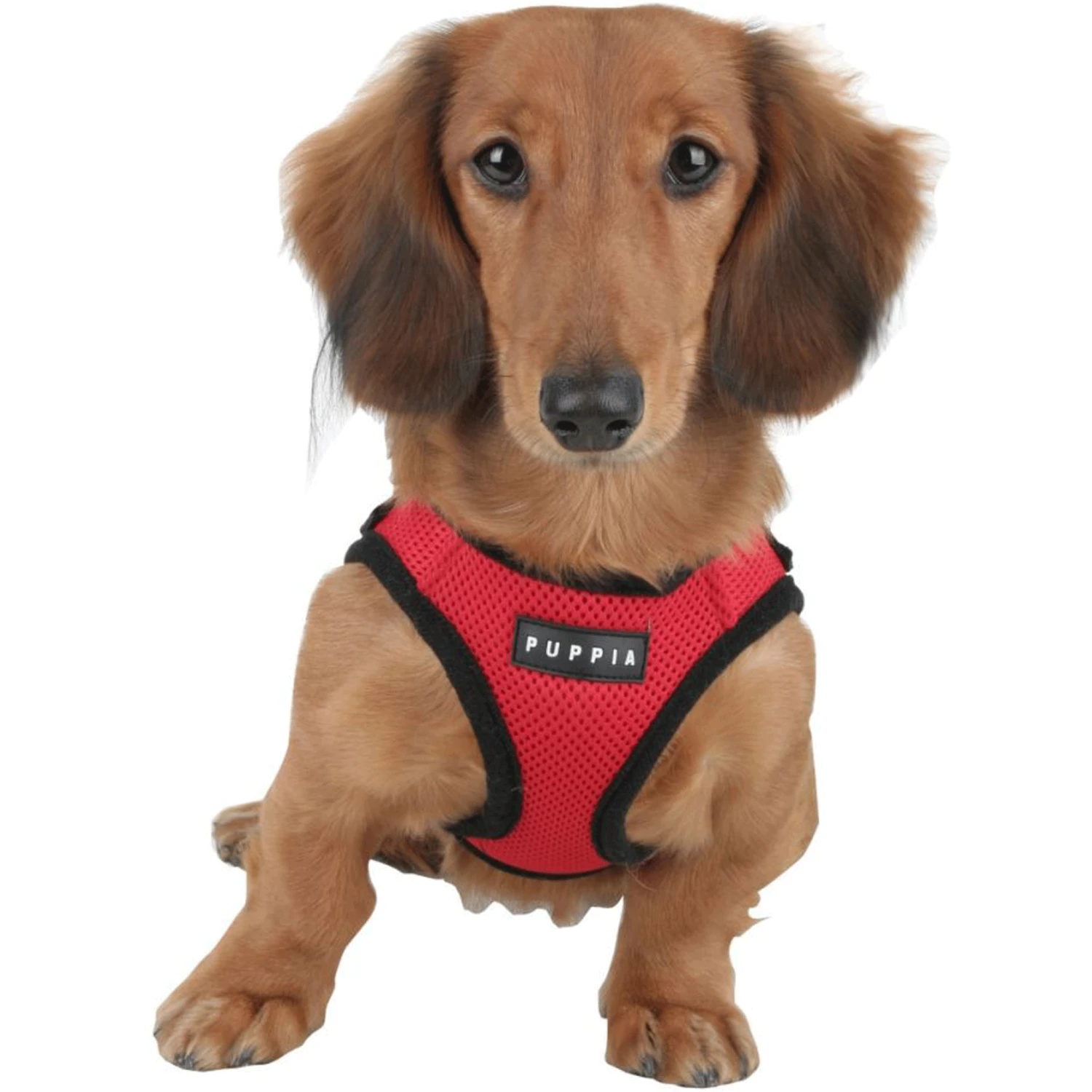 Puppia Red Soft Step-In Harness Vest B - Image 2