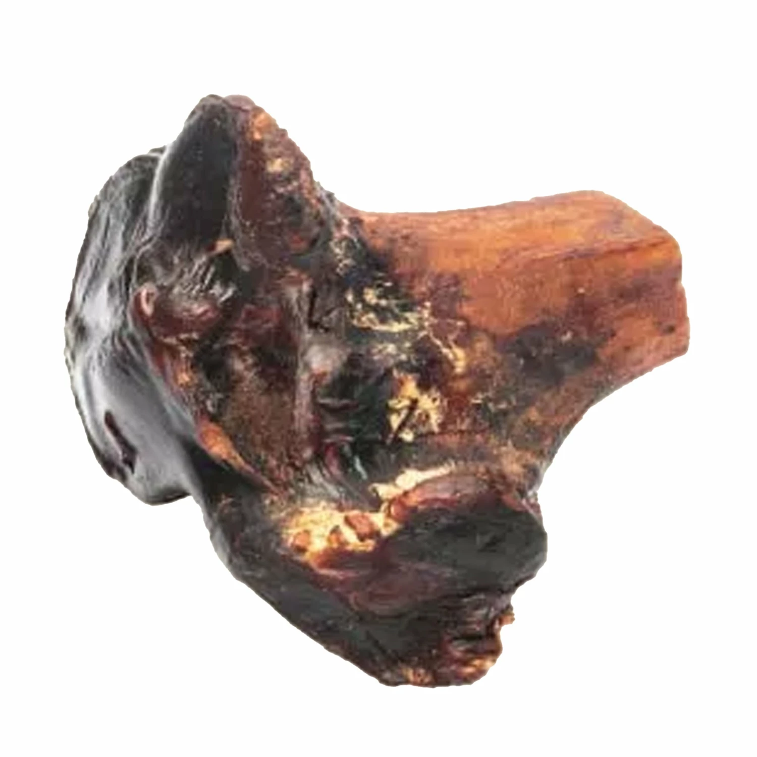 ROAM Gnaw-kles Dog Ostrich - Image 5