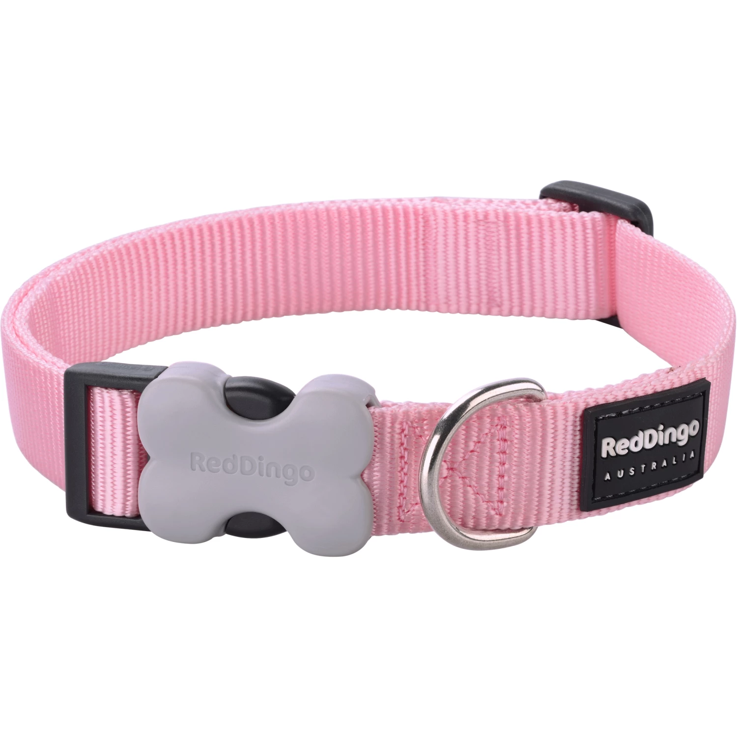 Red Dingo Pink Bucklebone Classic Dog Collar