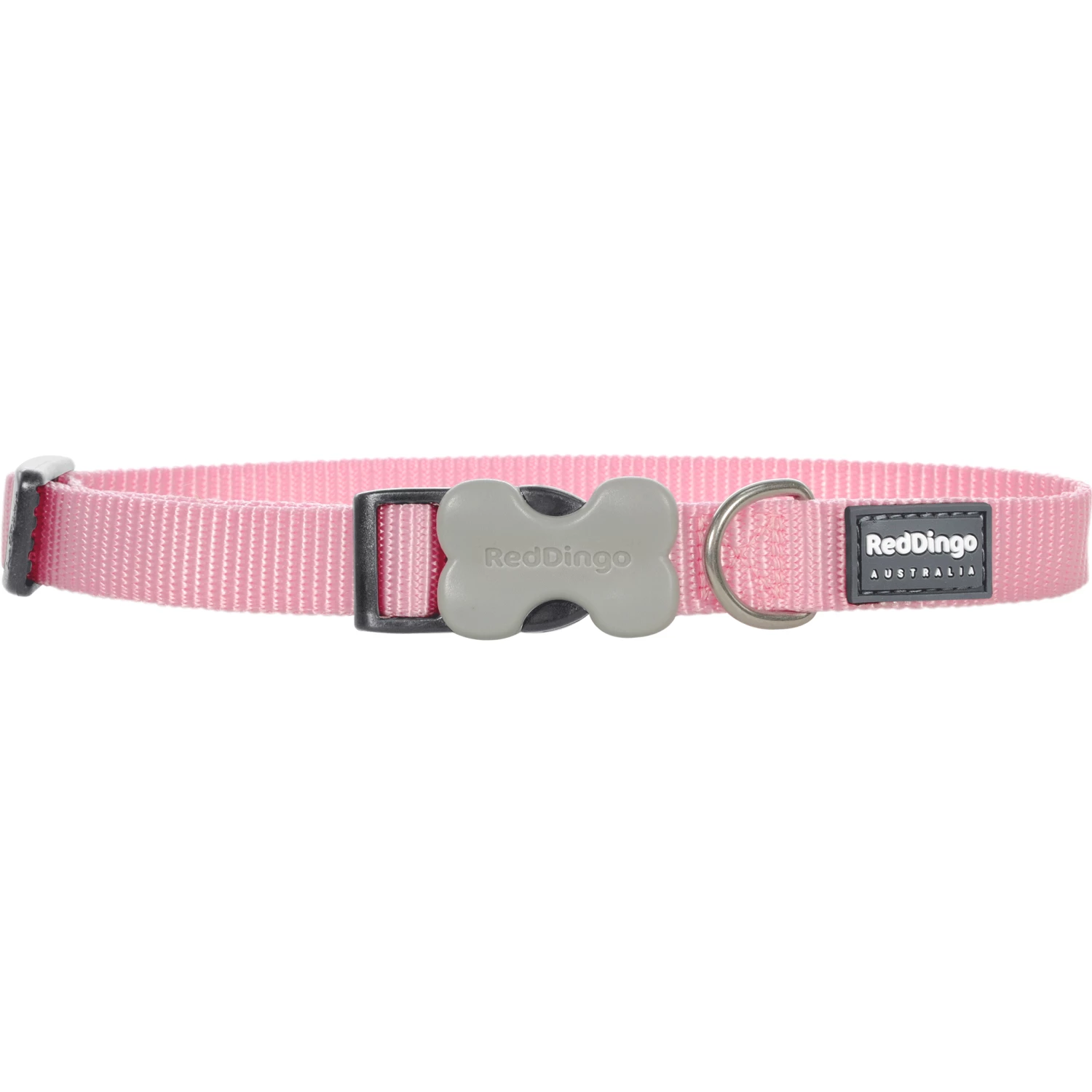 Red Dingo Pink Bucklebone Classic Dog Collar - Image 2