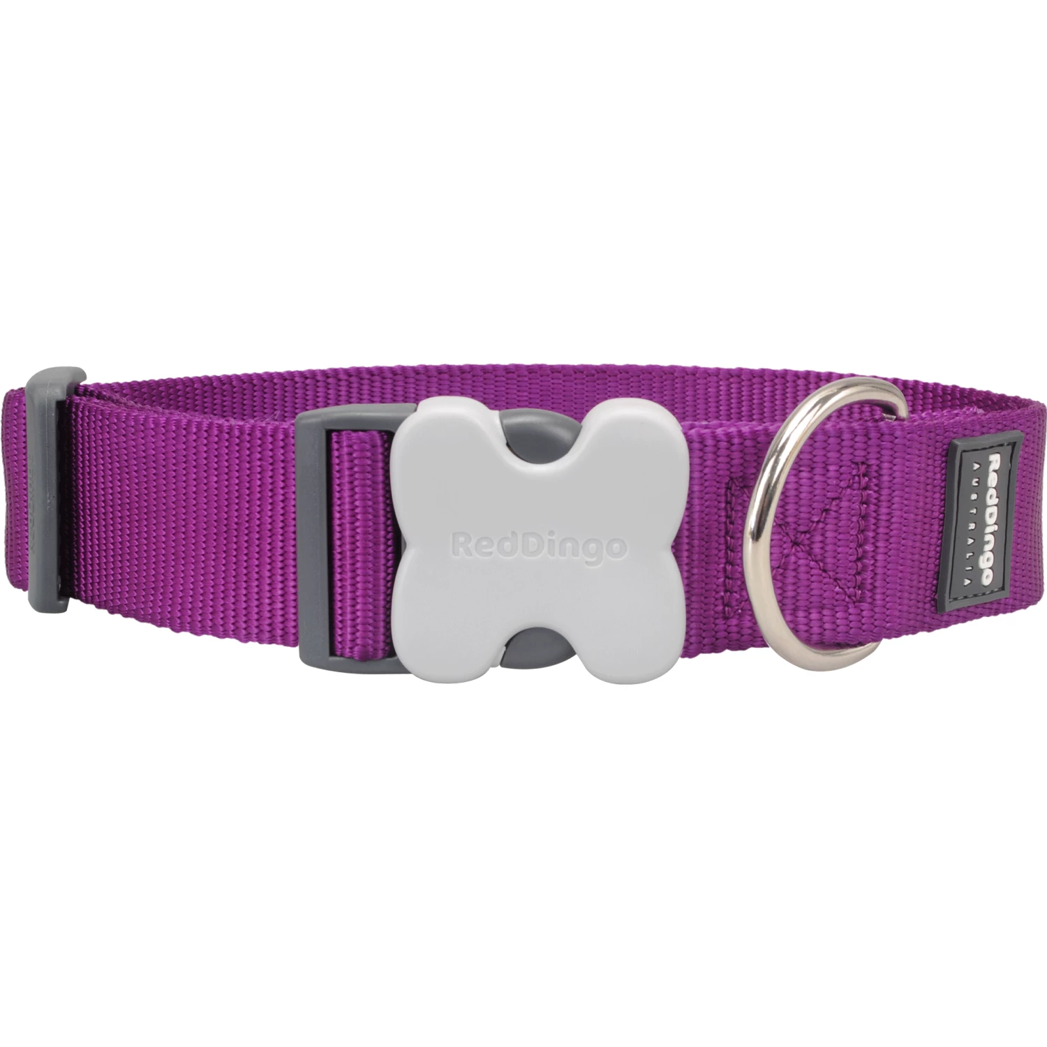 Red Dingo Purple Bucklebone Classic Dog Collar - Image 2