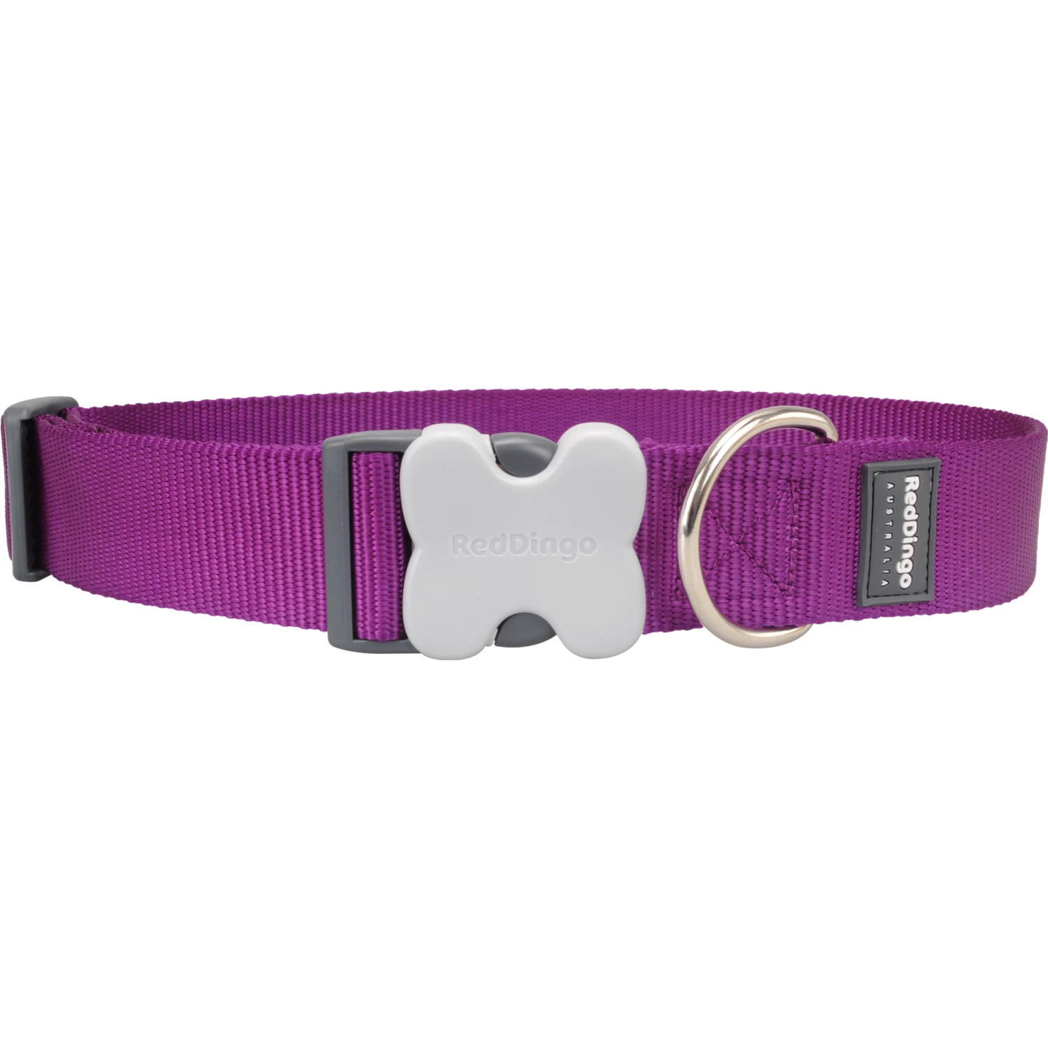Red Dingo Purple Bucklebone Classic Dog Collar - Image 3