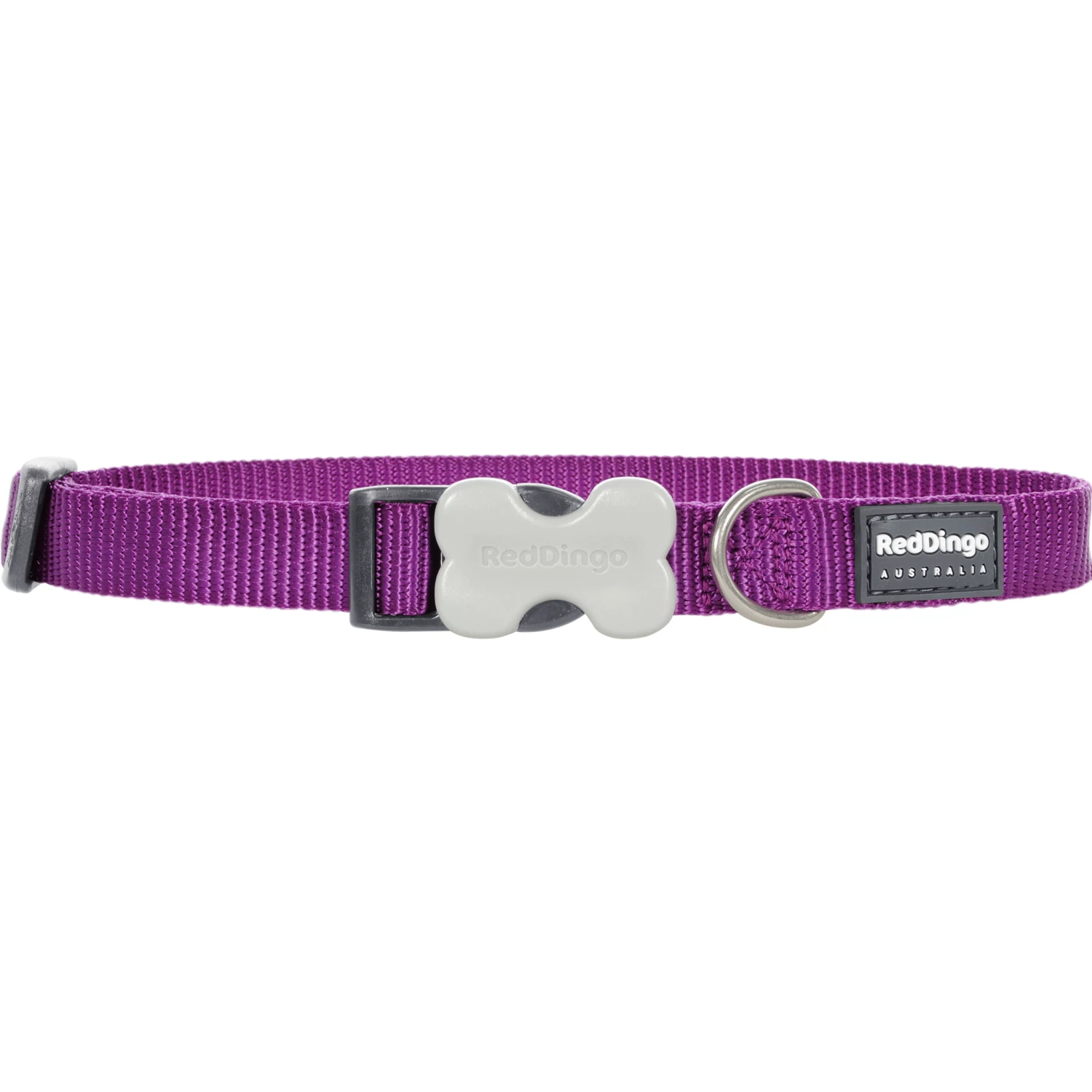 Red Dingo Purple Bucklebone Classic Dog Collar - Image 4