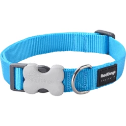 Red Dingo Turquoise Bucklebone Classic Dog Collar