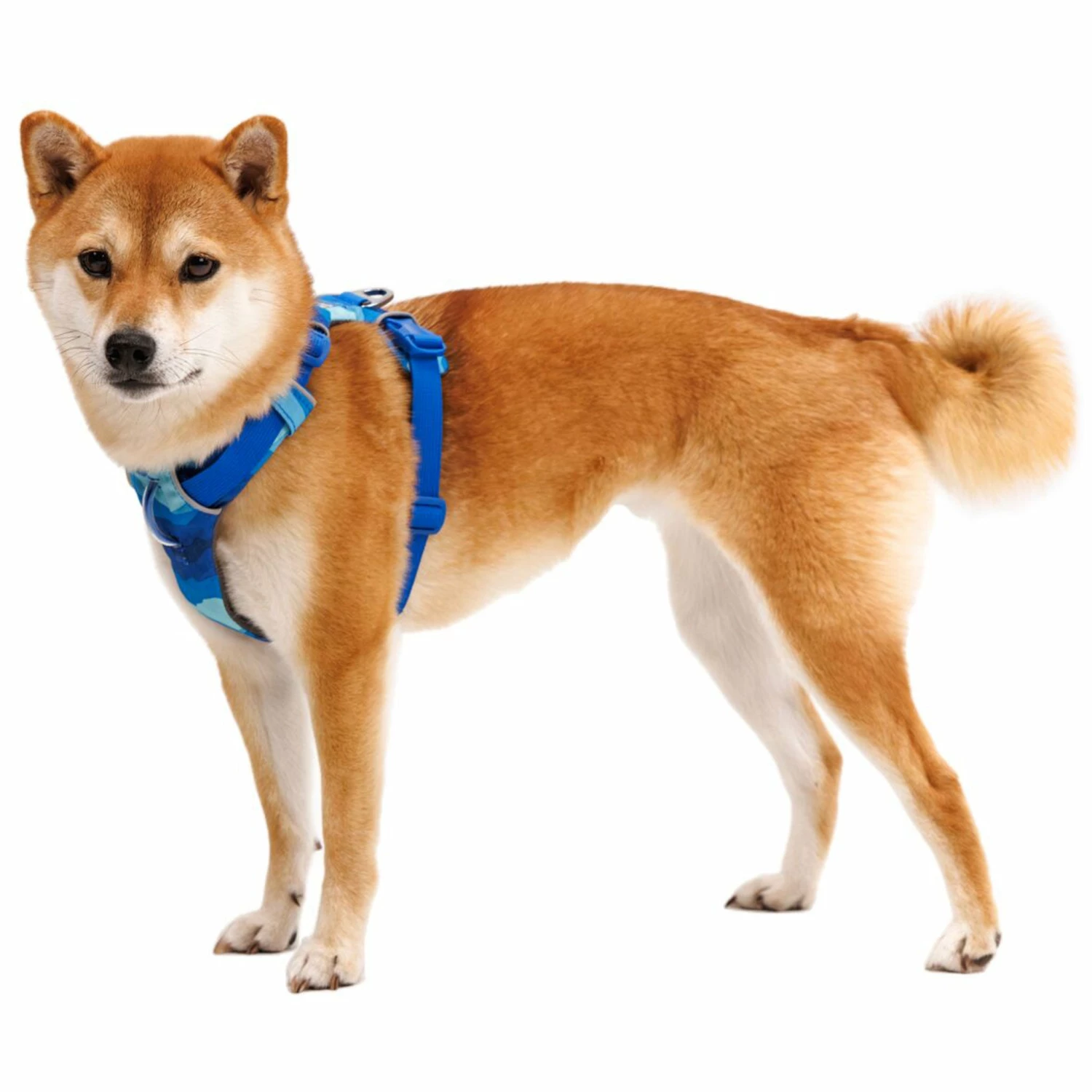 Ruffwear Front Range Harness - Coastal Mountains - Image 2