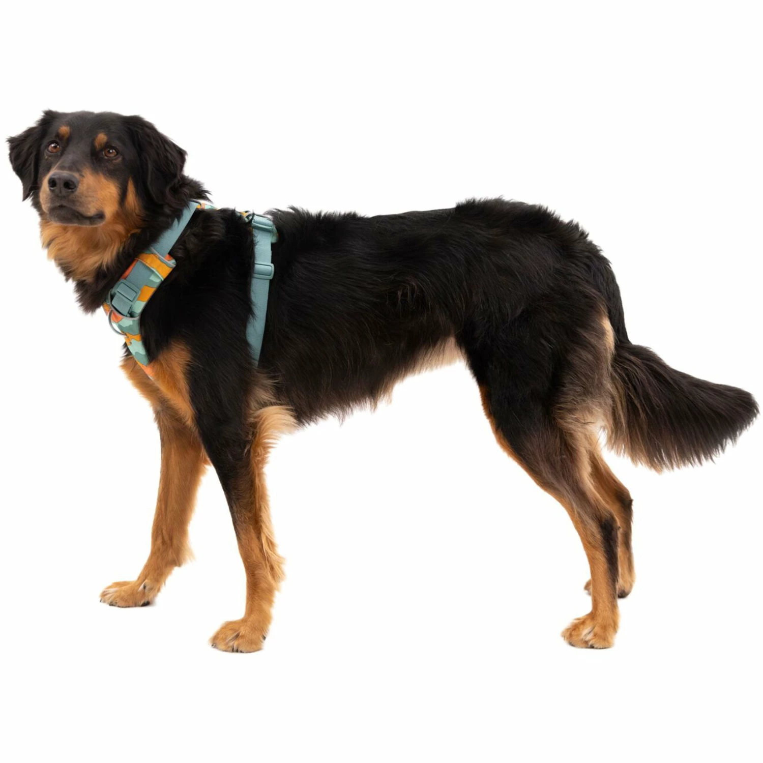 Ruffwear Front Range Harness - Spring Mountains - Image 2