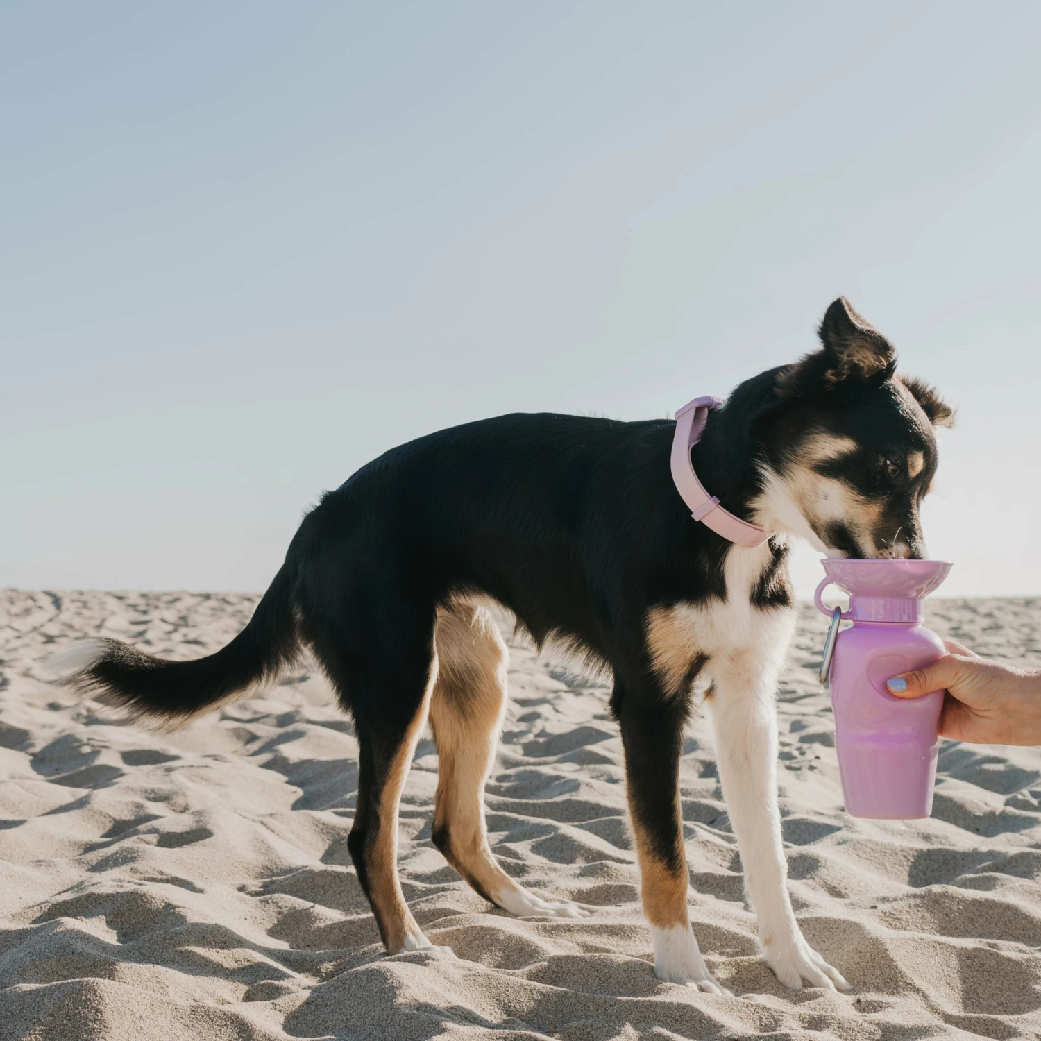 Springer Classic Travel Bottle - Lilac - Image 4