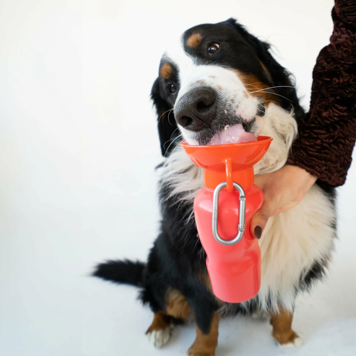 Springer Classic Travel Bottle - Poppy - Image 3