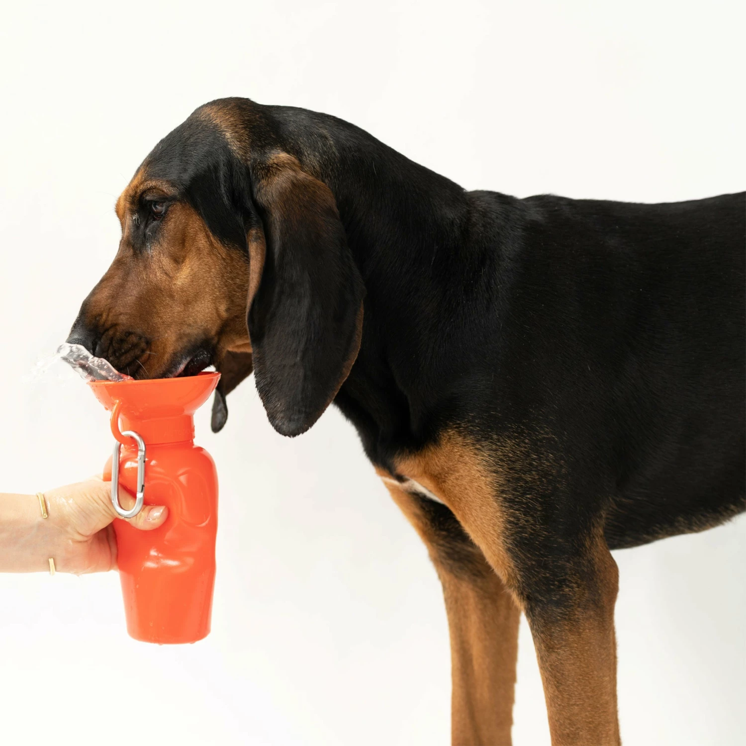 Springer Classic Travel Bottle - Poppy - Image 4