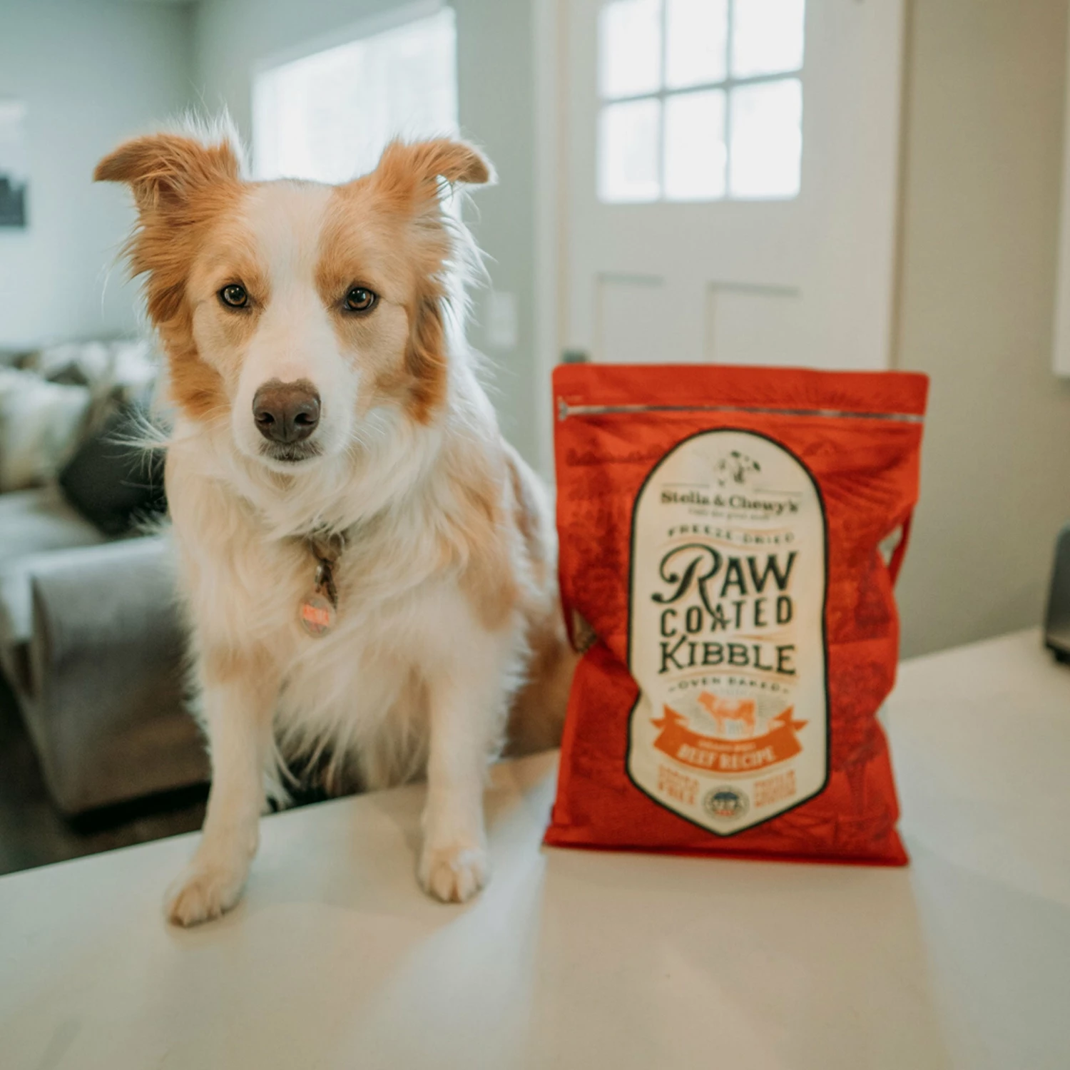 Stella & Chewy's Raw Coated Beef Dog Food - Image 4