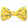The Foggy Dog Bowtie - Beach Balls
