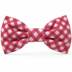 The Foggy Dog Bowtie - Raspberry Gingham