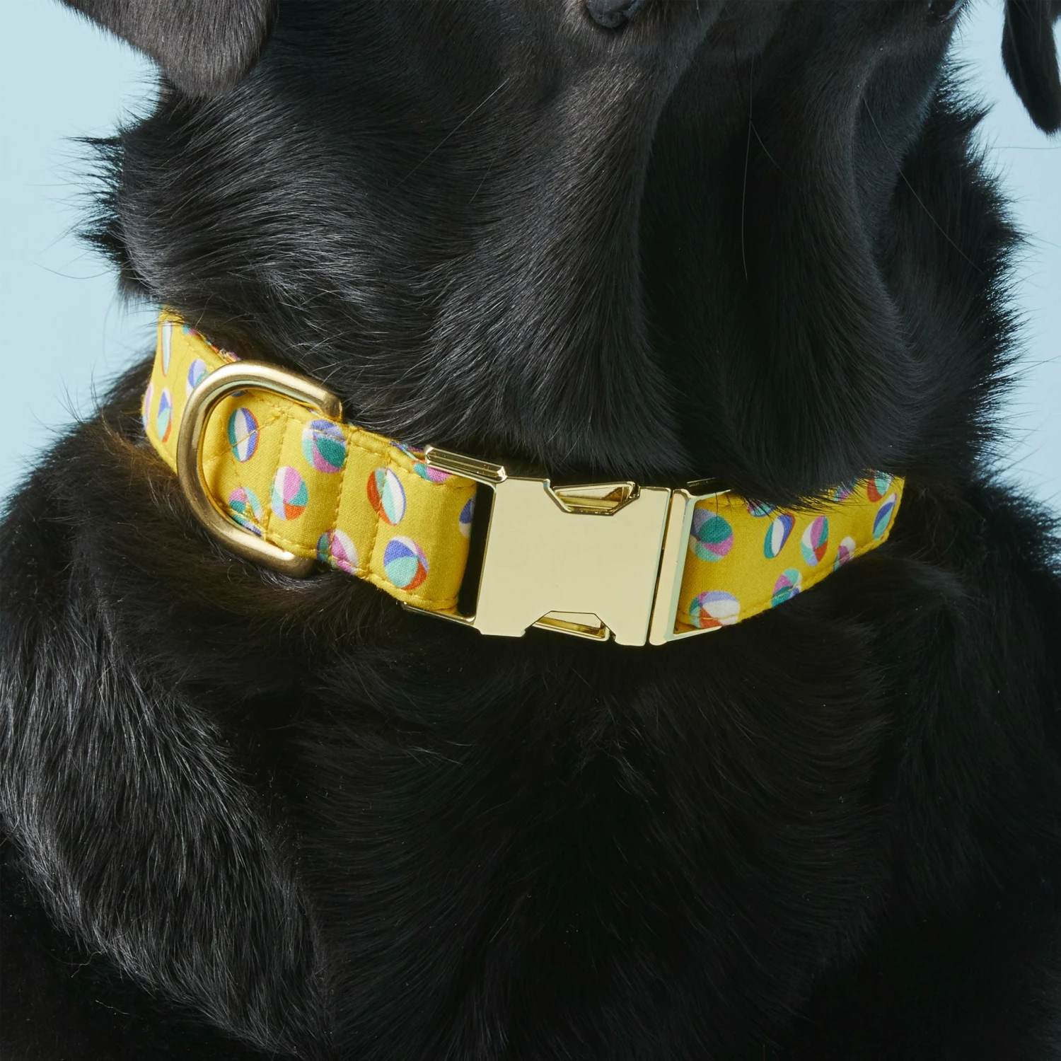 The Foggy Dog Collar - Beach Balls - Image 4