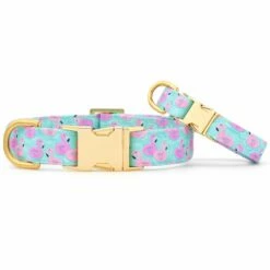 The Foggy Dog Collar - Flamingo Floaties