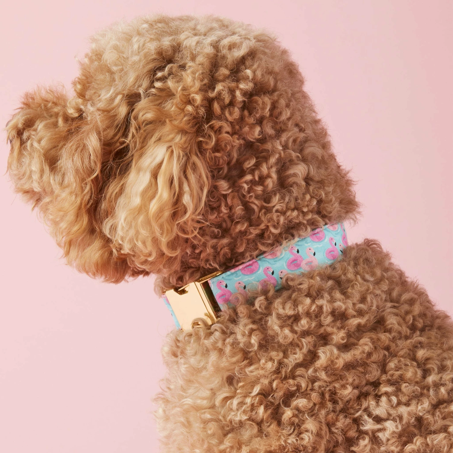 The Foggy Dog Collar - Flamingo Floaties - Image 4