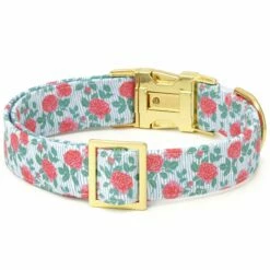 The Foggy Dog Collar - Rain Rose