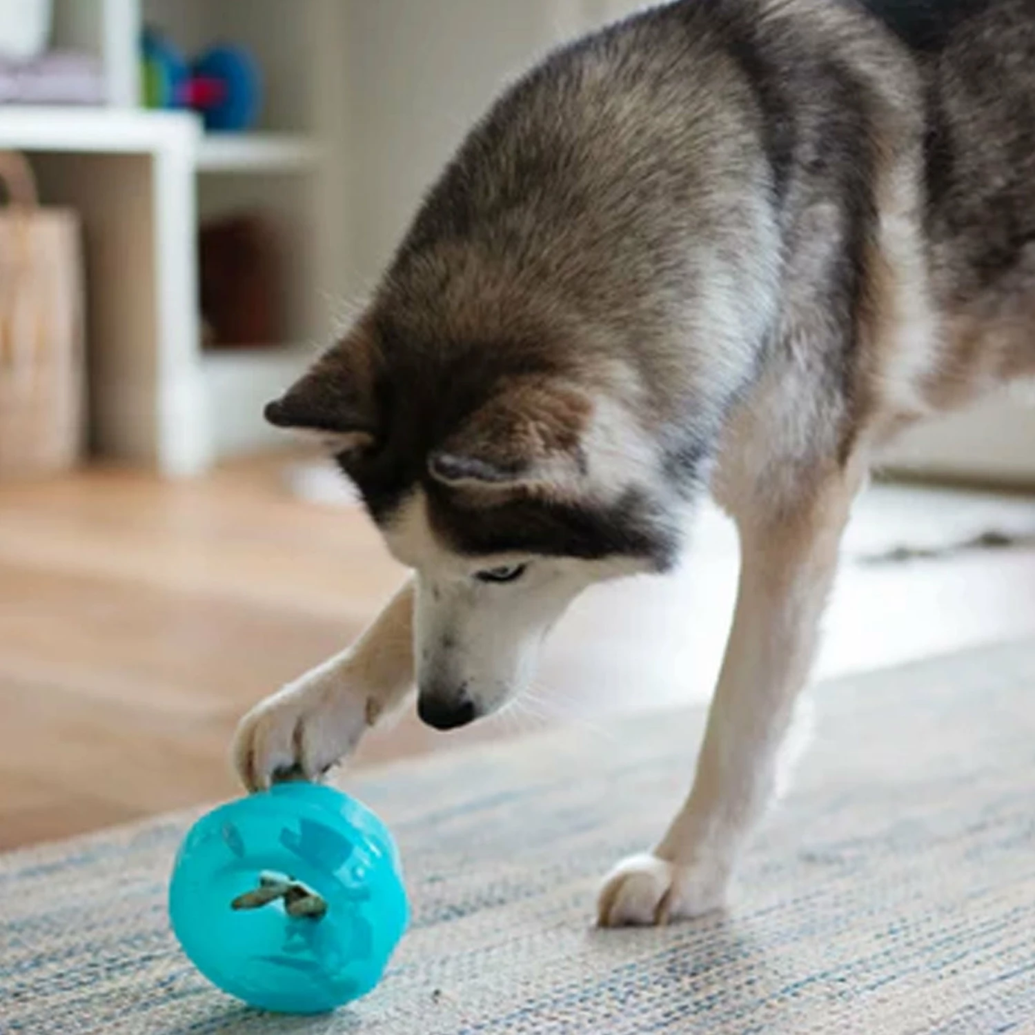 Totally Pooched Stuff'n Wobble Ball Dog Toy - Image 4