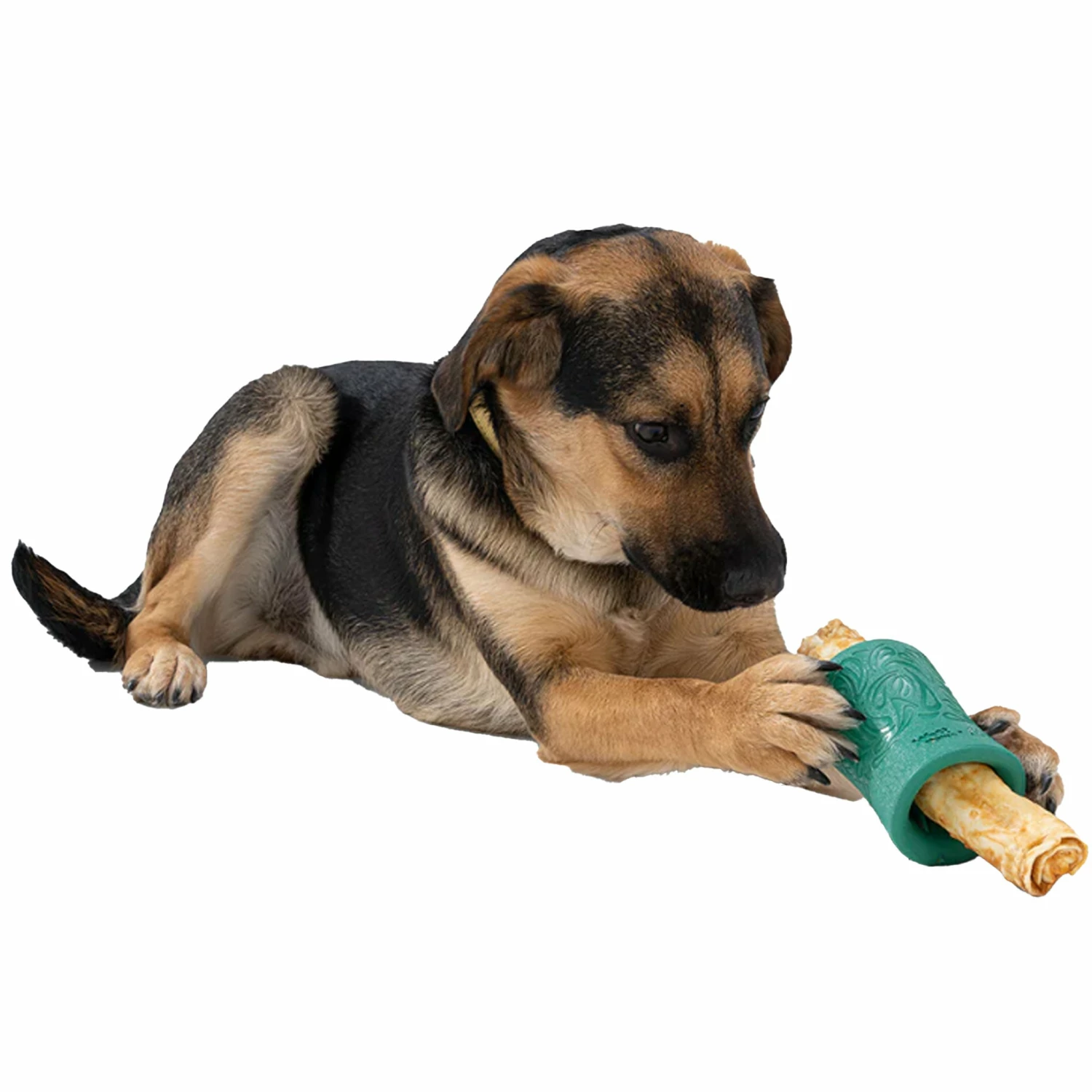 West Paw Funnl - Green - Image 3