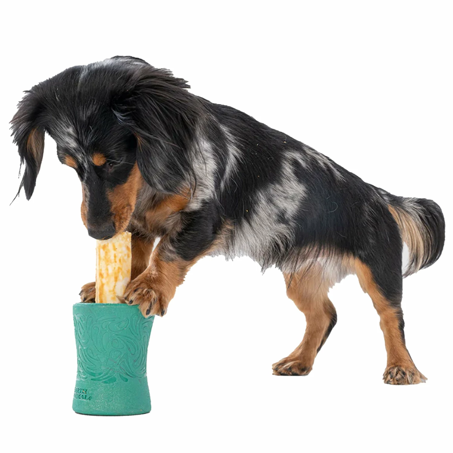 West Paw Funnl - Green - Image 2