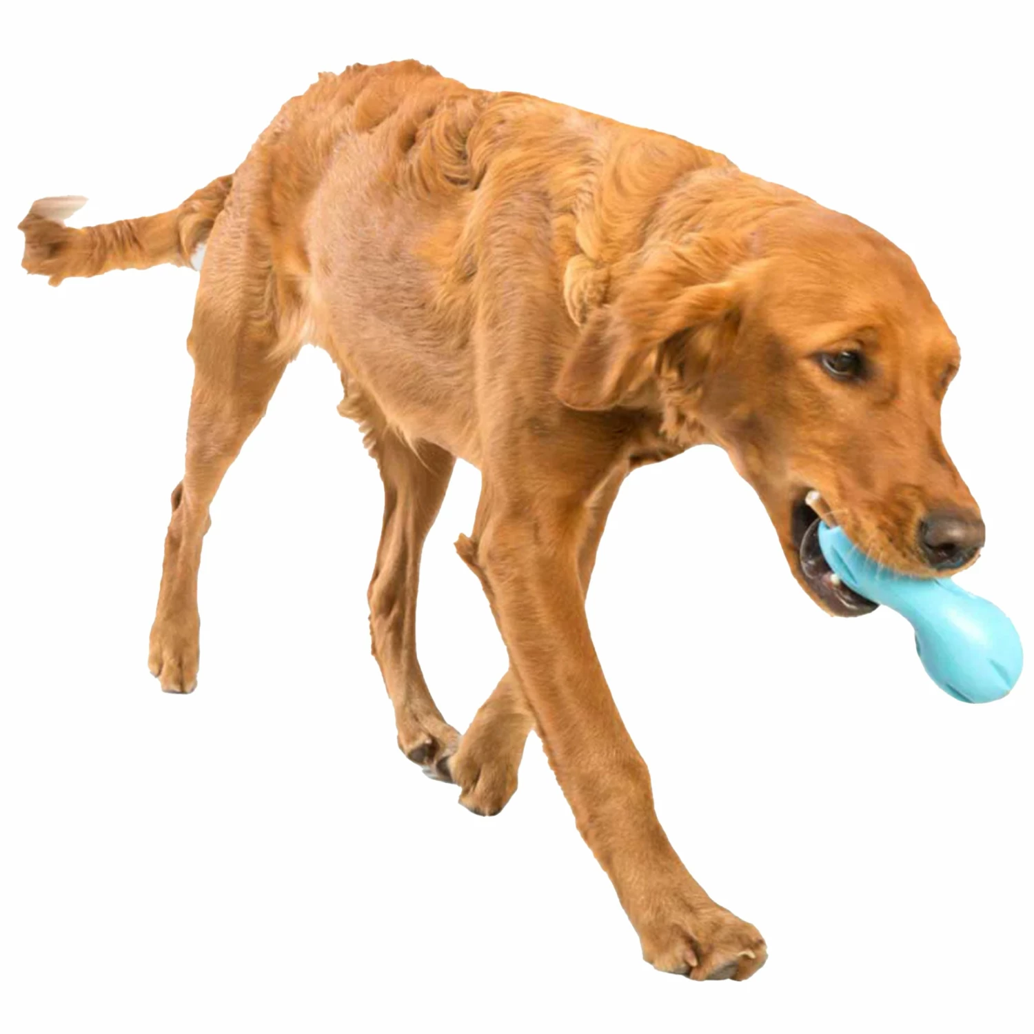 West Paw Qwizl - Blue - Image 2