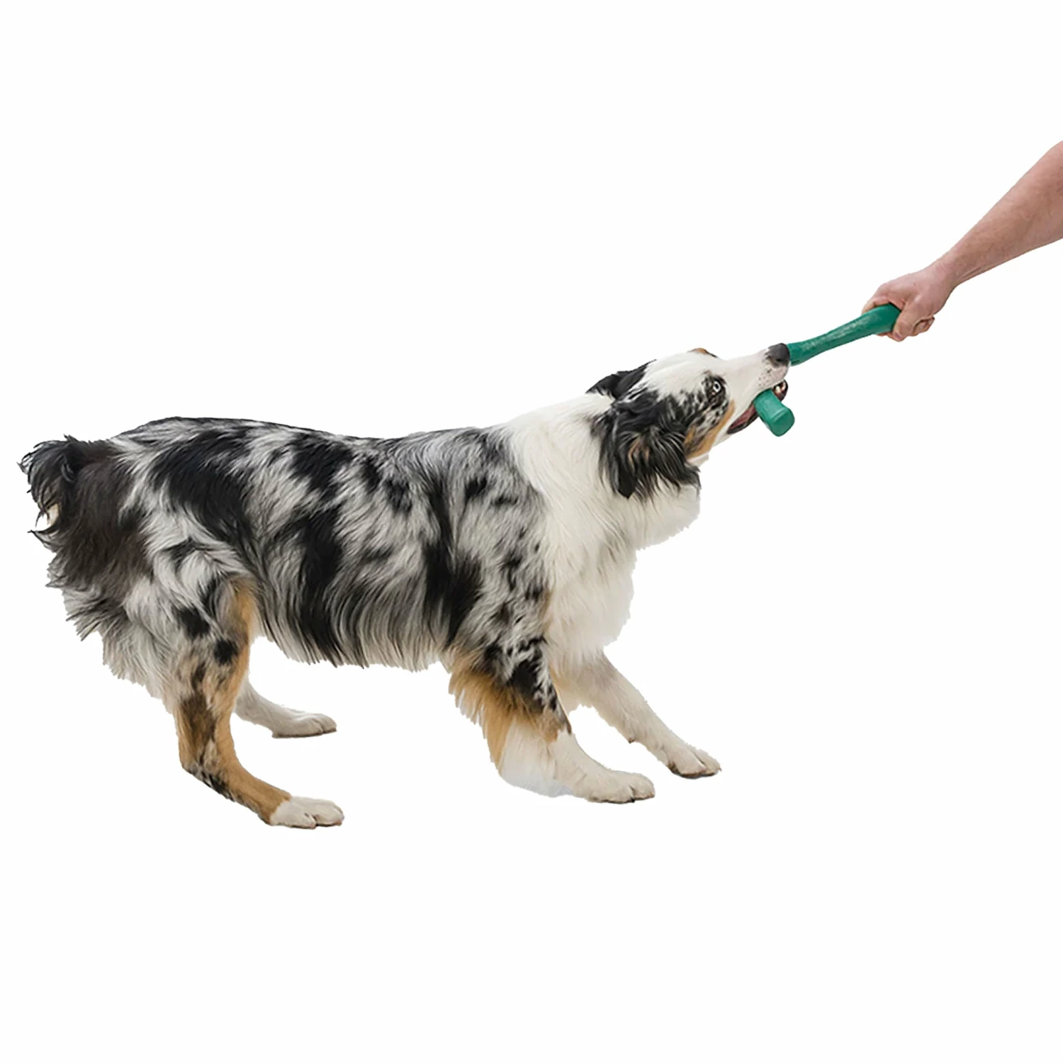 West Paw Snorkl - Green - Image 3