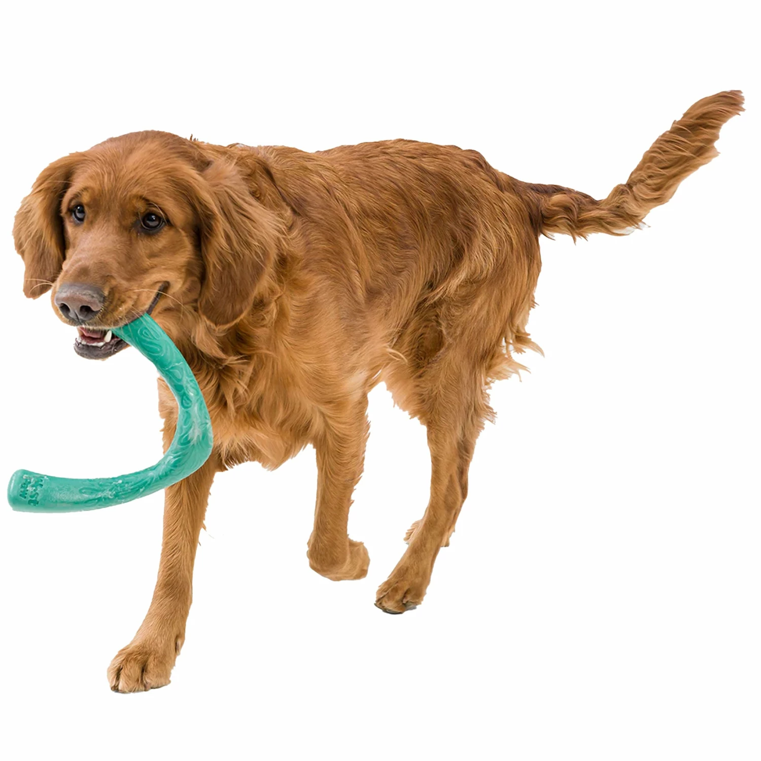 West Paw Snorkl - Green - Image 2